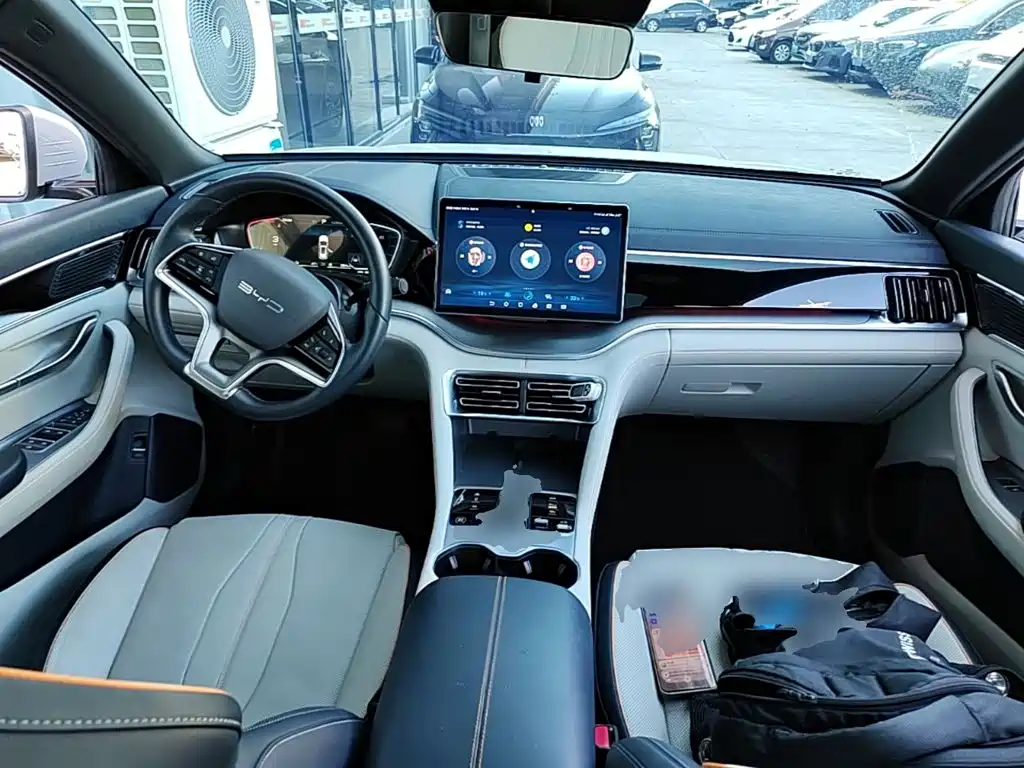 BYD PLUS New Energy — фото 10