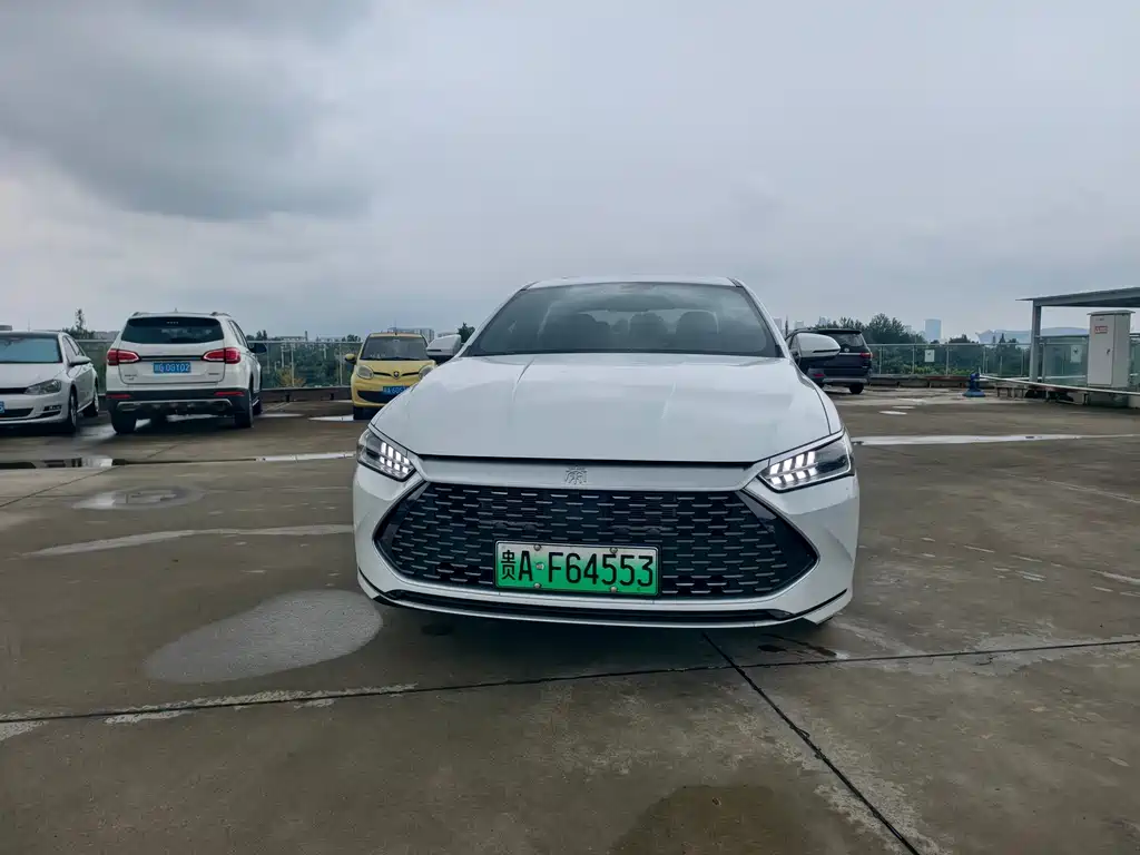 BYD Qin PLUS — фото 2