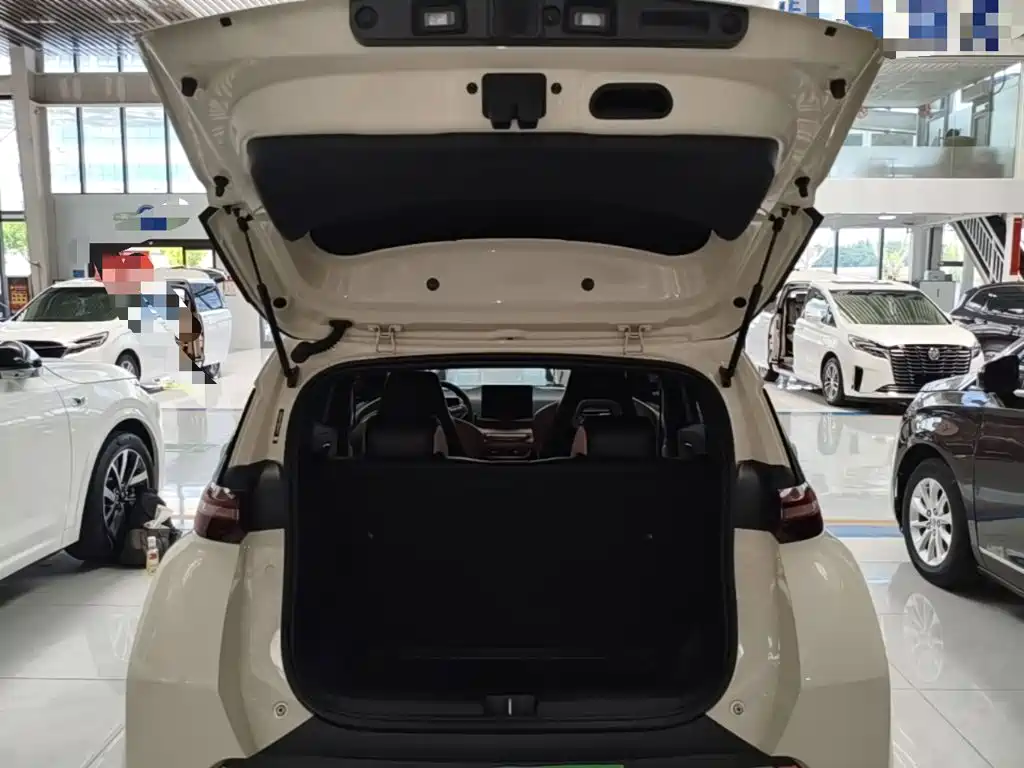 BYD Seagull — фото 19