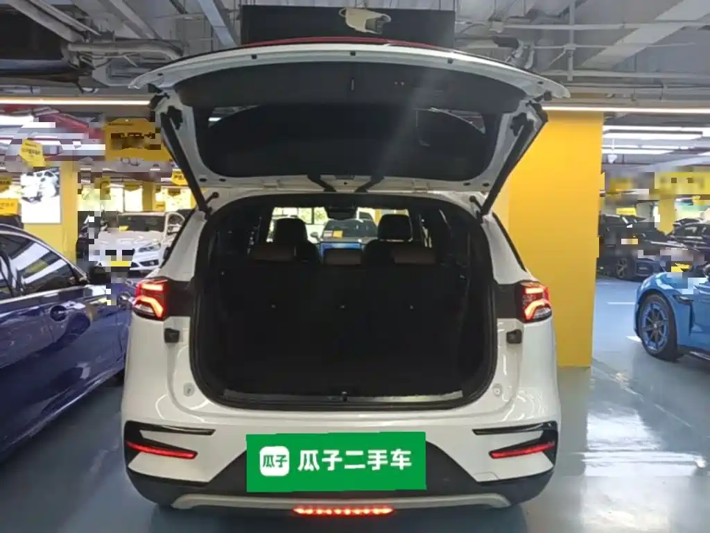 BYD Tang New Energy — фото 19