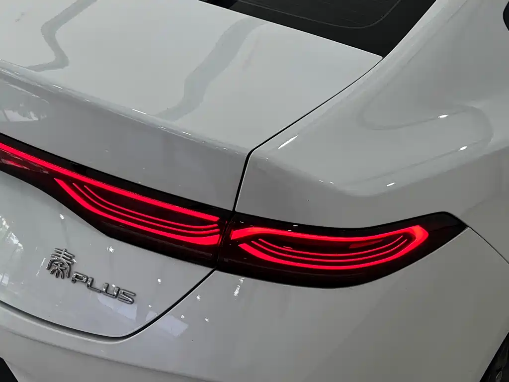 BYD Qin PLUS — фото 6