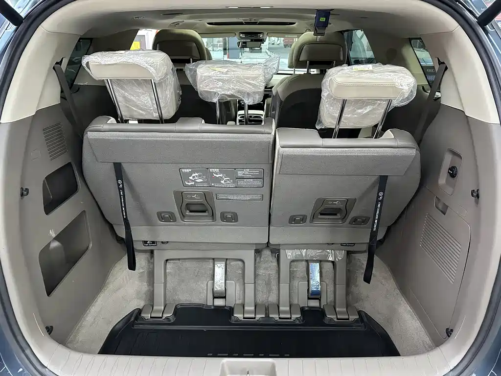 Kia Carnival — фото 11