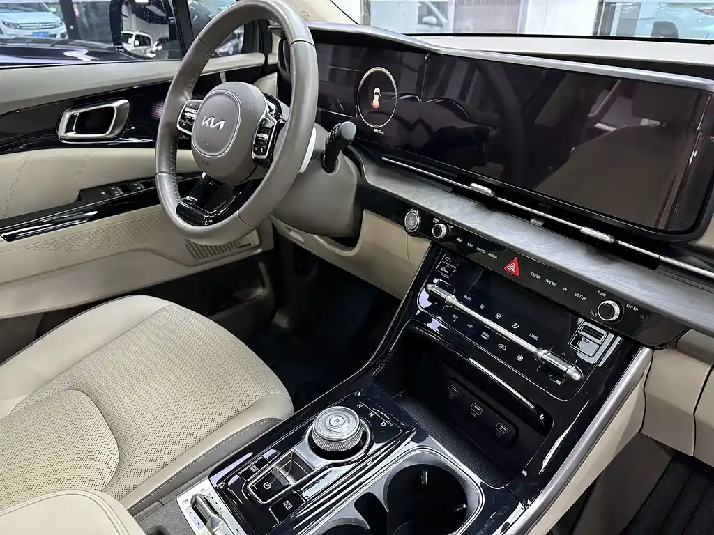 Kia Carnival — фото 14