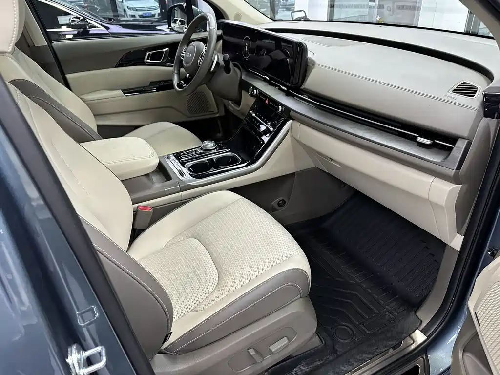 Kia Carnival — фото 15