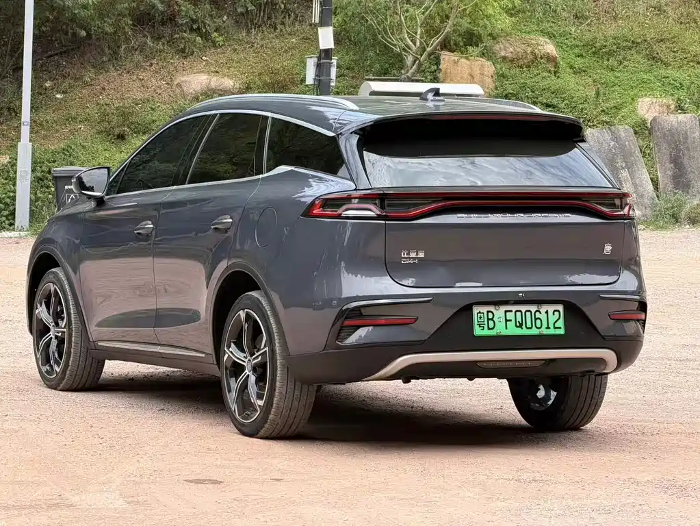 BYD Tang New Energy — фото 11
