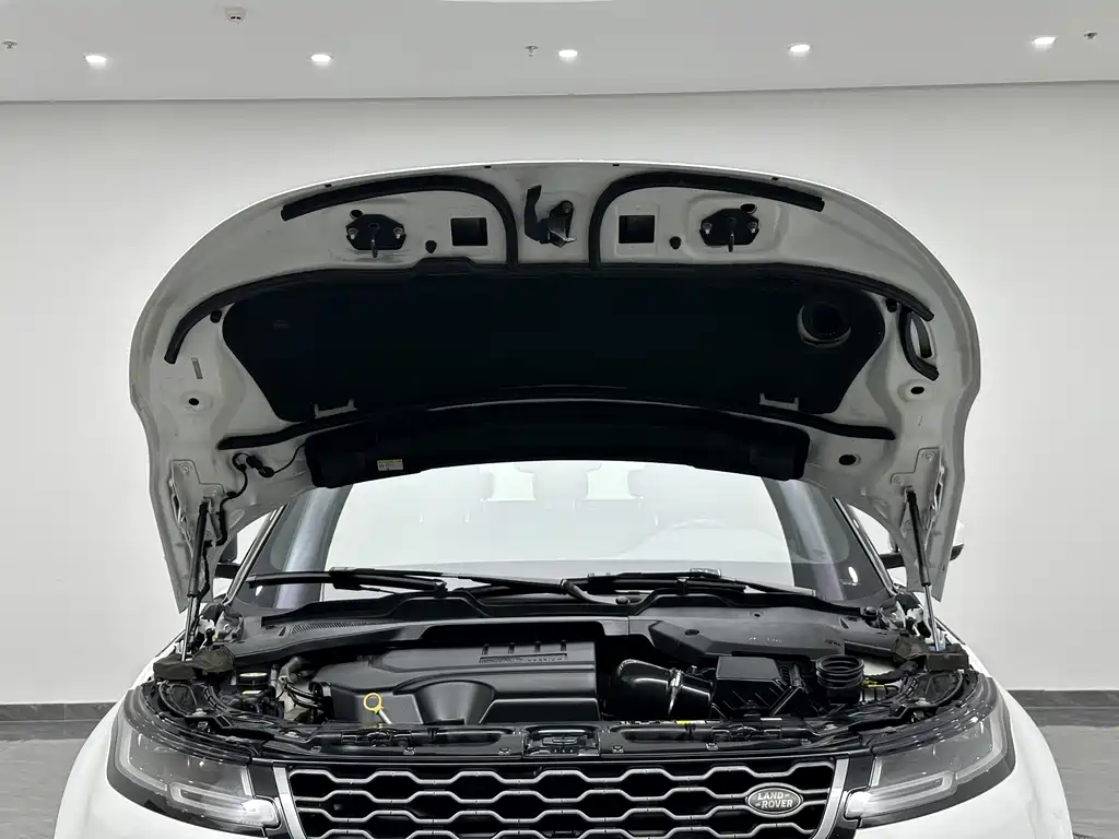 Land Rover Evoque — фото 19