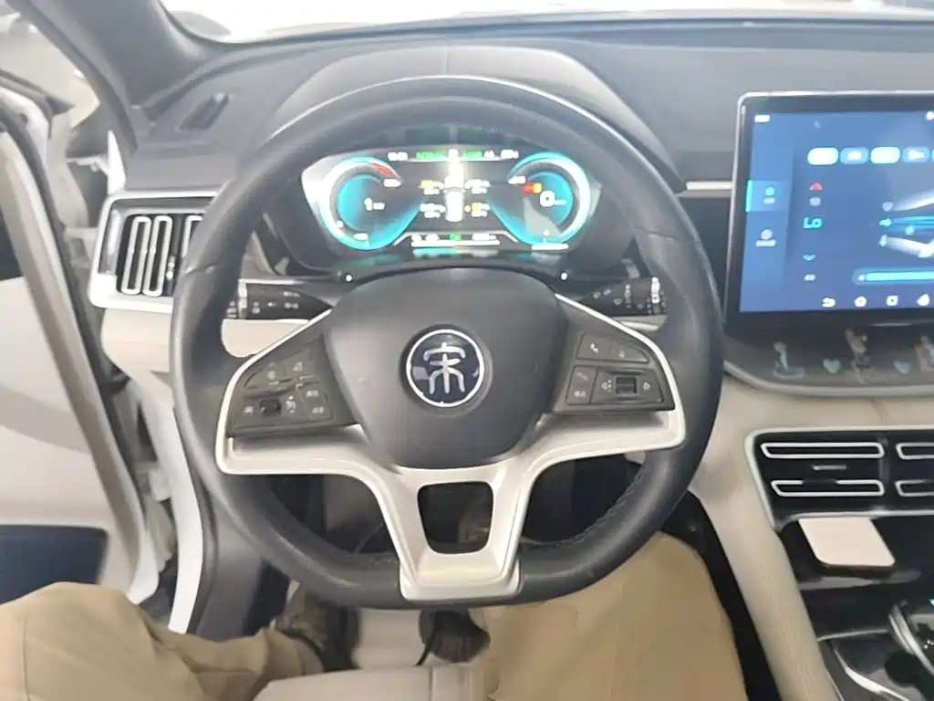 BYD PLUS New Energy — фото 11