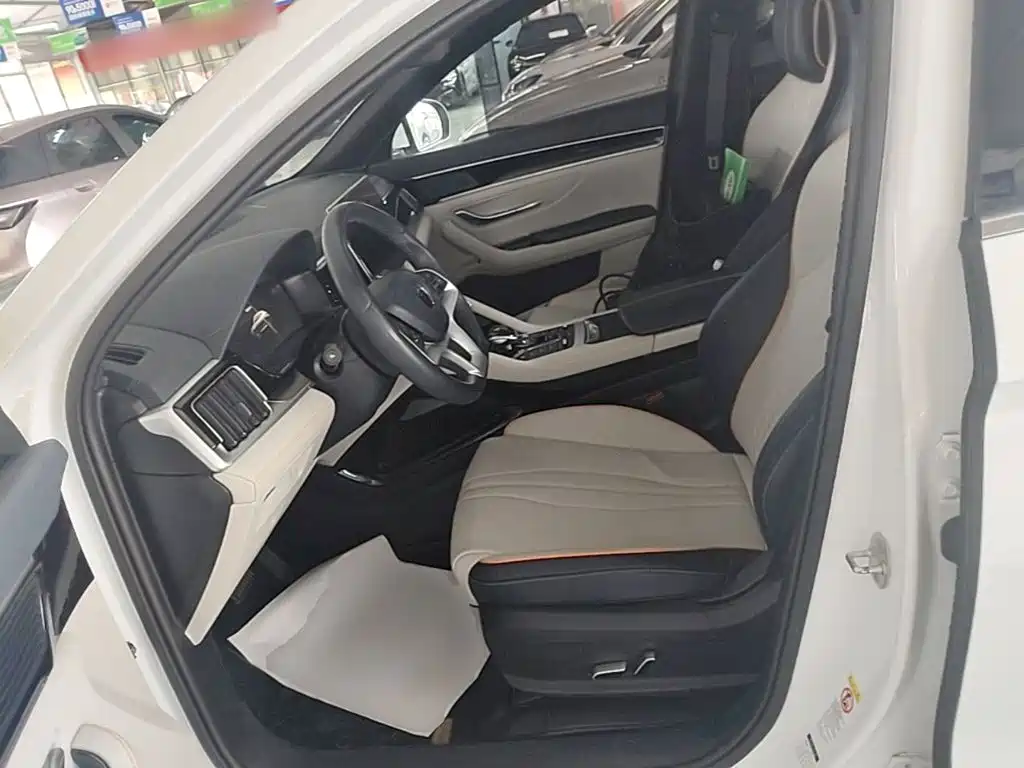 BYD PLUS New Energy — фото 15