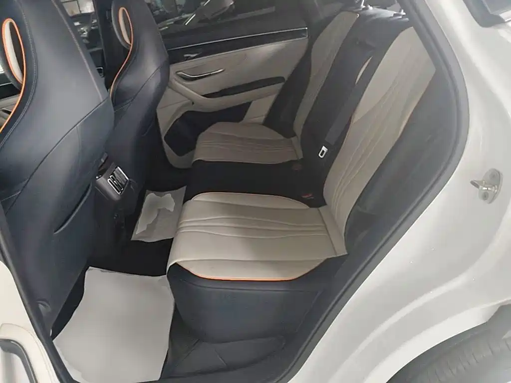 BYD PLUS New Energy — фото 17