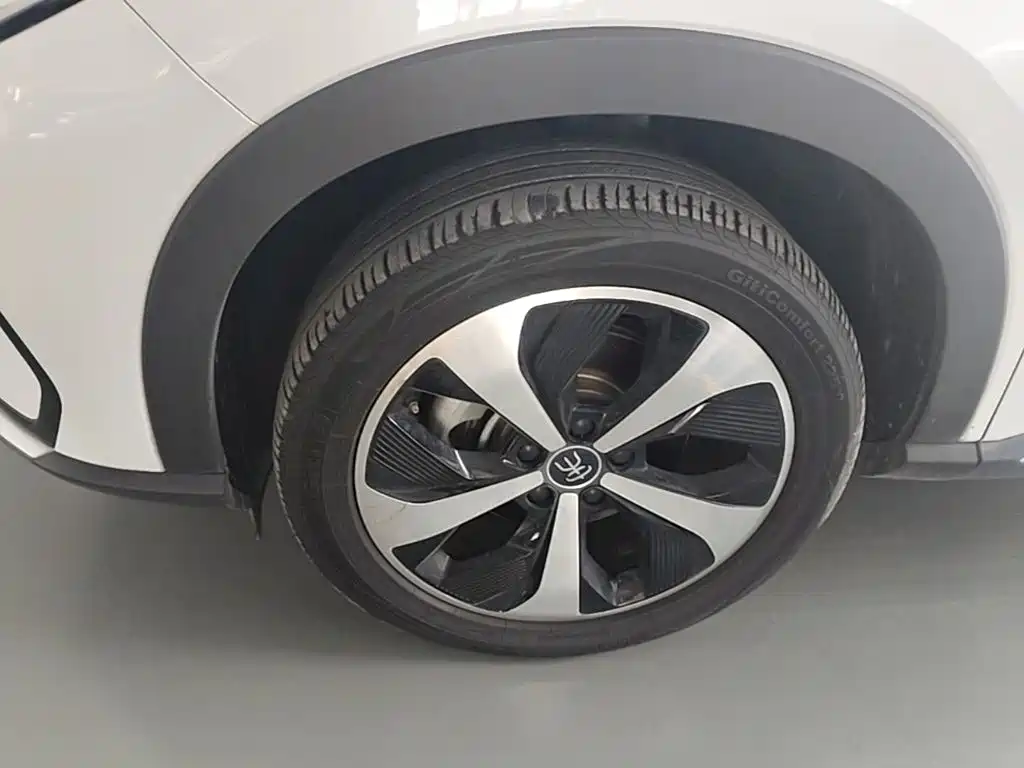 BYD PLUS New Energy — фото 23