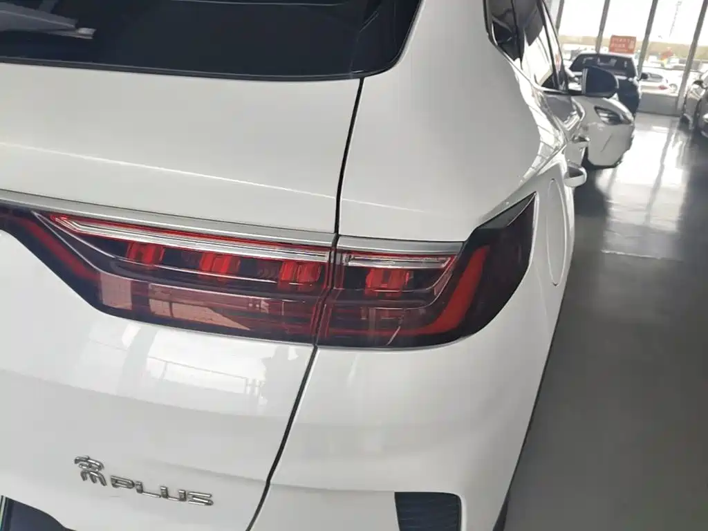 BYD PLUS New Energy — фото 8