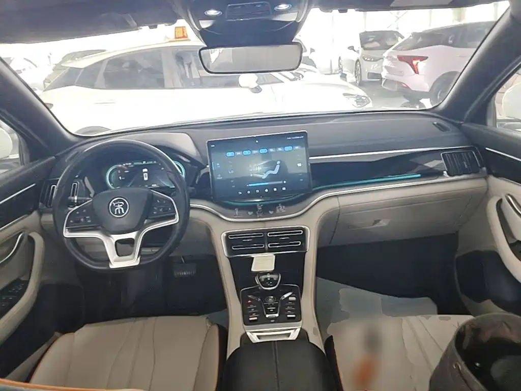 BYD PLUS New Energy — фото 10