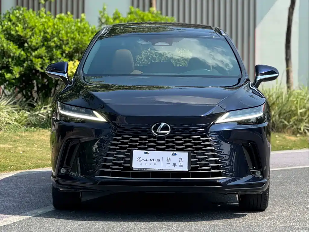 Lexus RX — фото 2