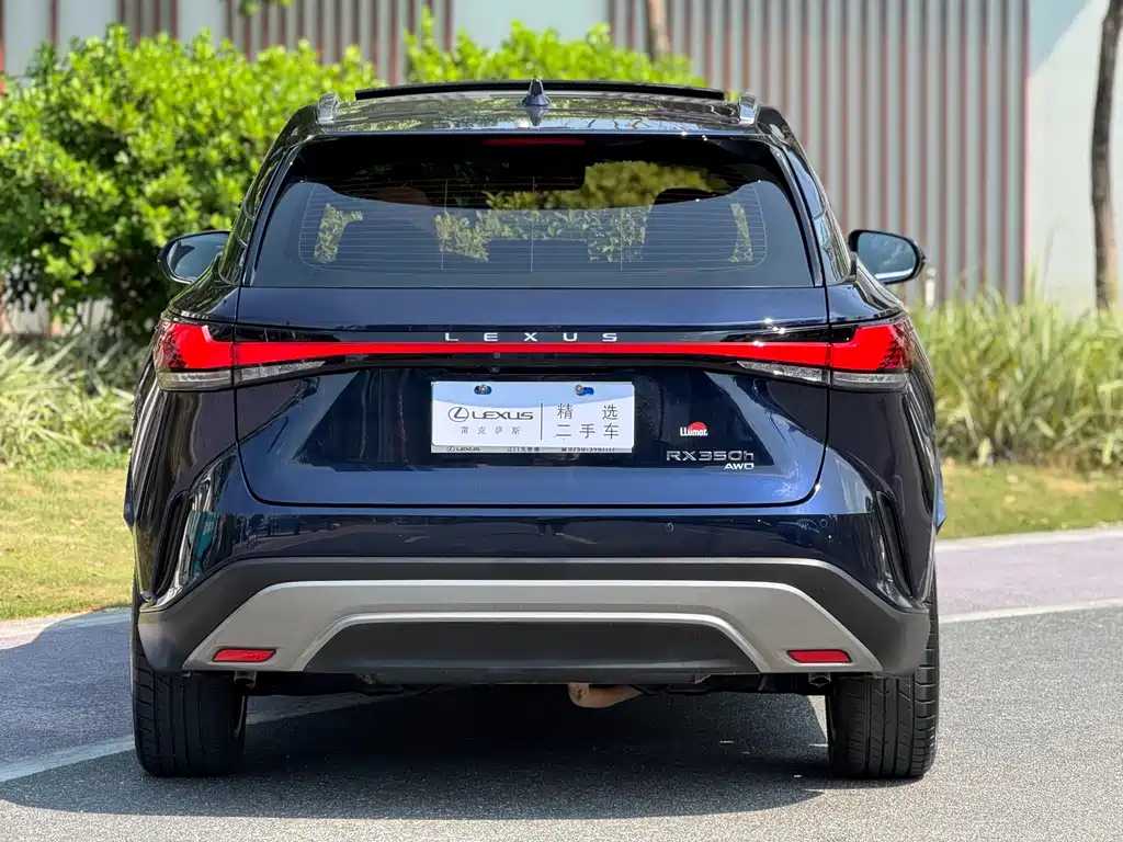 Lexus RX — фото 15