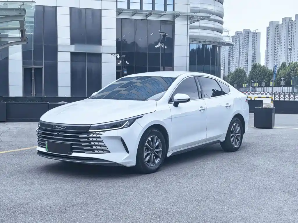 BYD Destroyer 05 — фото 2