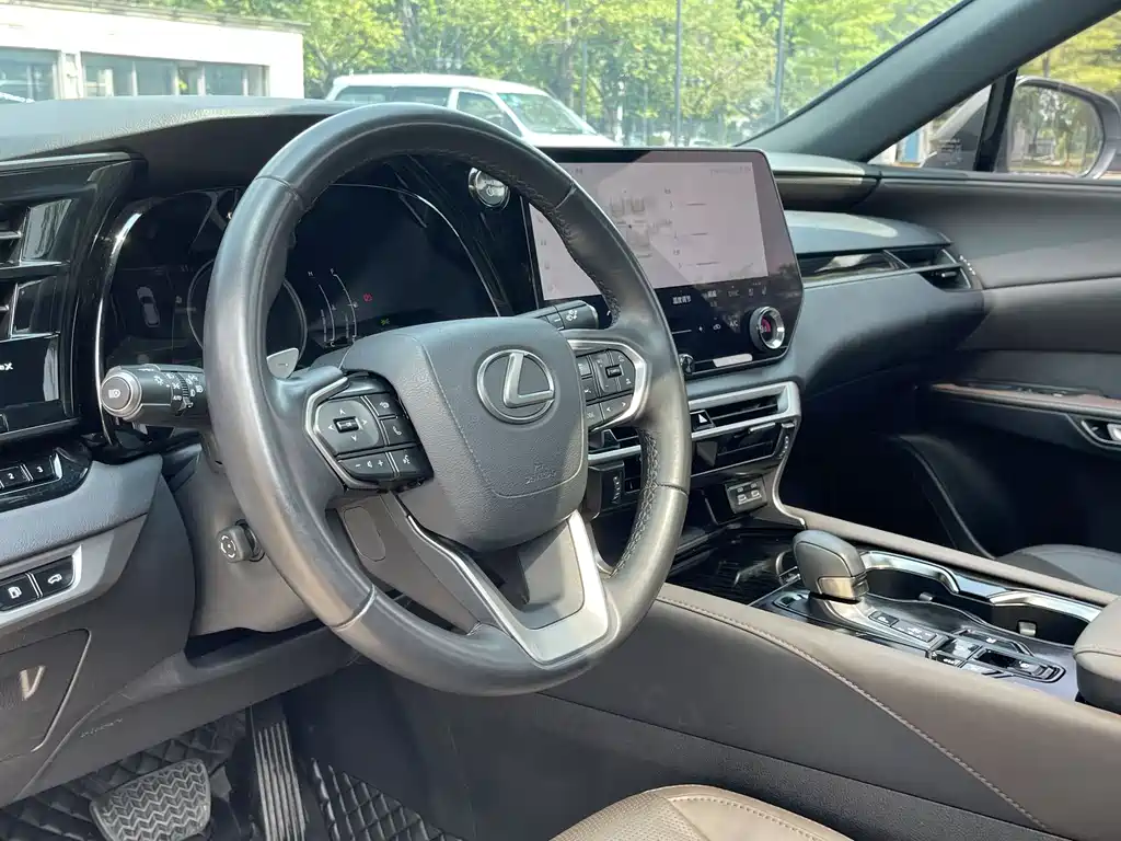 Lexus RX — фото 14