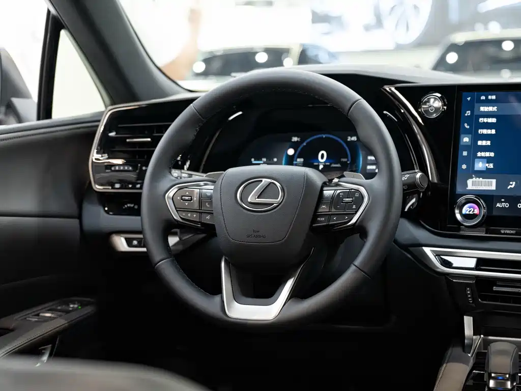 Lexus RX — фото 15