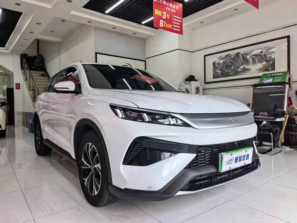 BYD Pro New Energy — фото 2
