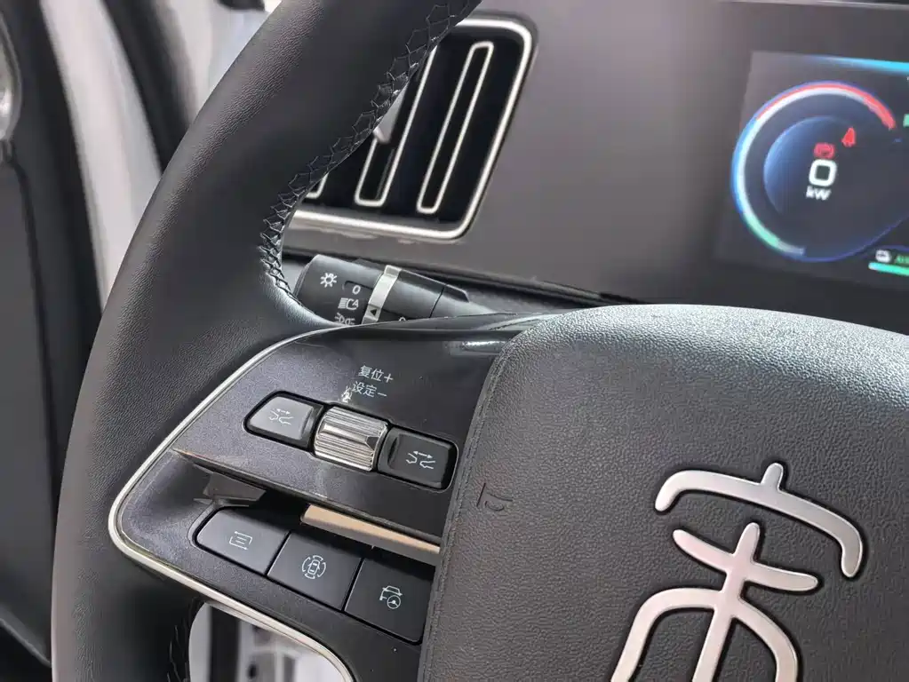 BYD Pro New Energy — фото 11