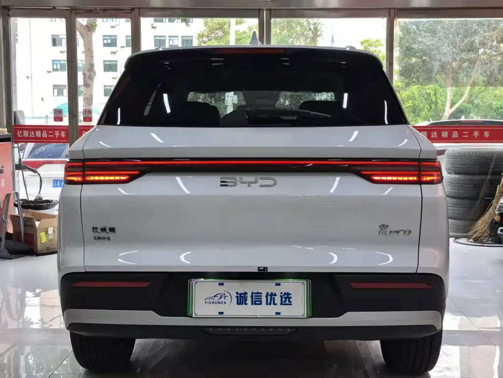 BYD Pro New Energy — фото 13