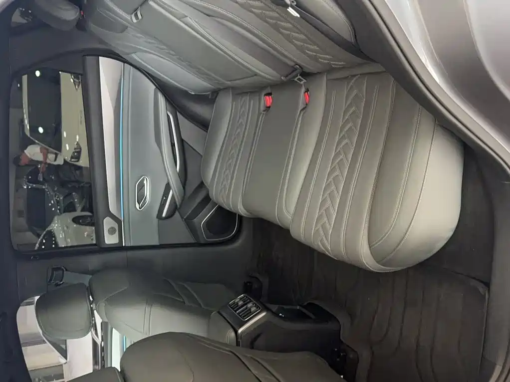 BYD L DM-i — фото 14