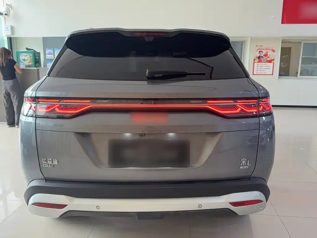 BYD L DM-i — фото 9