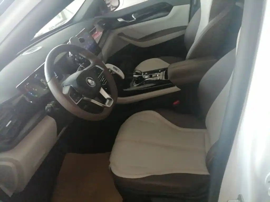 BYD Qin PLUS — фото 15