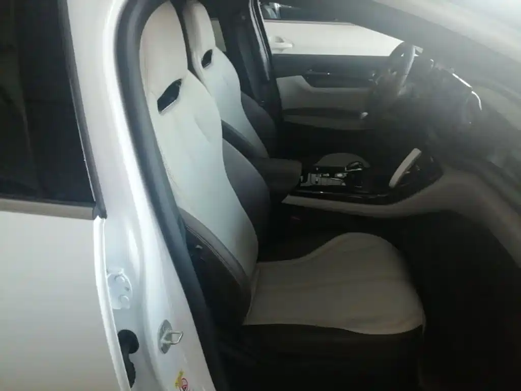 BYD Qin PLUS — фото 25