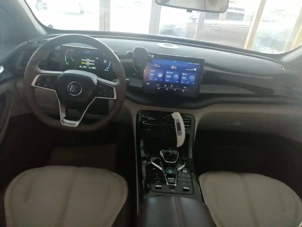 BYD Qin PLUS — фото 10