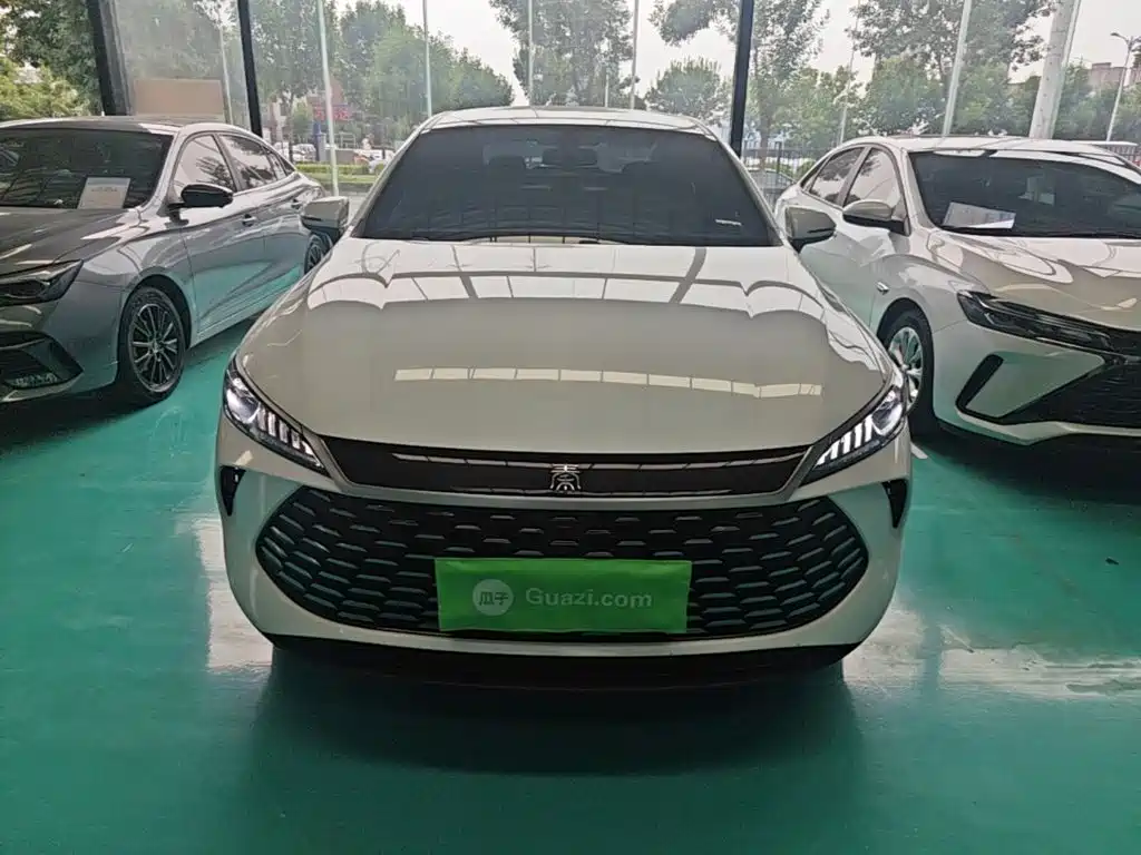 BYD Qin PLUS — фото 3