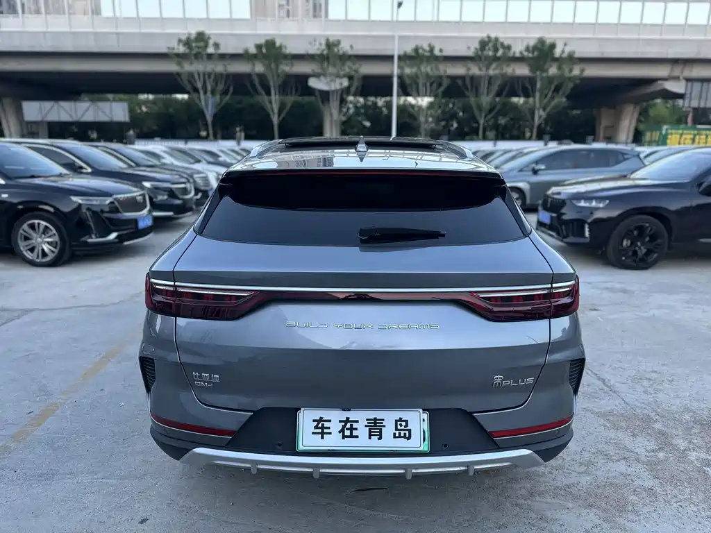 BYD PLUS New Energy — фото 8