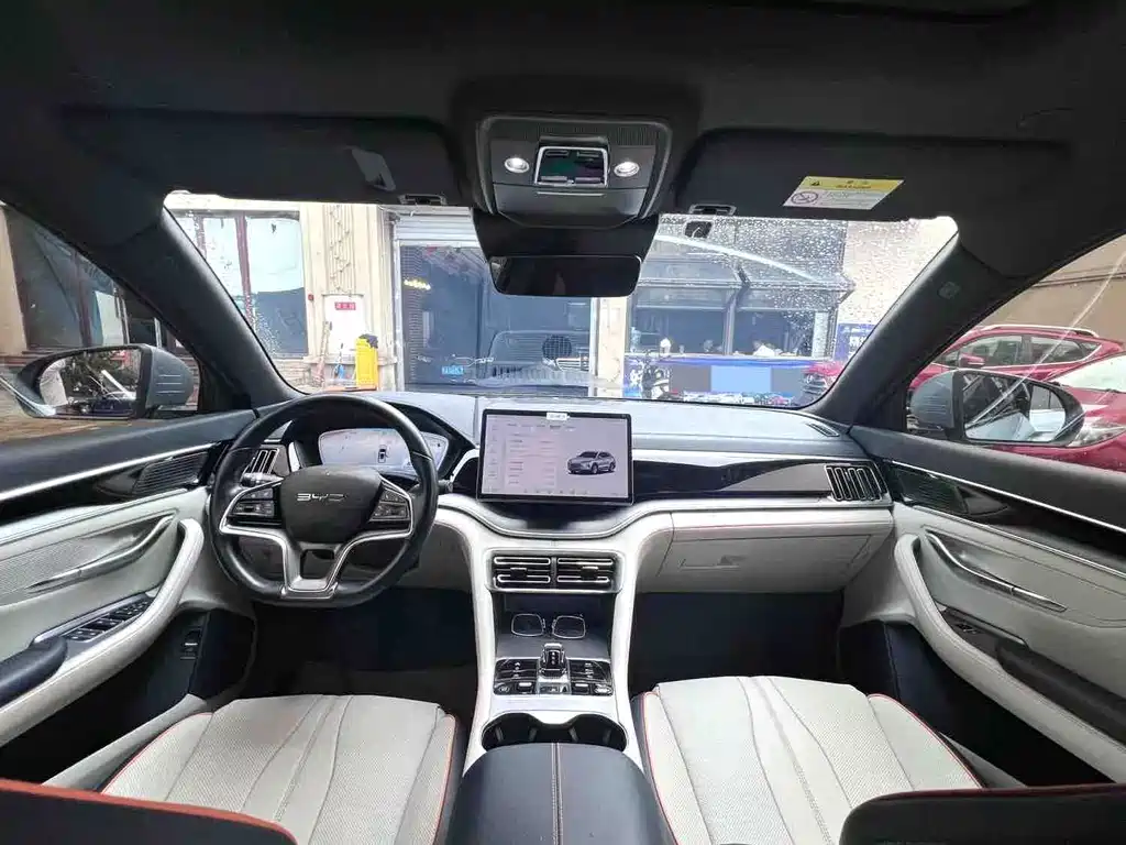 BYD PLUS New Energy — фото 8