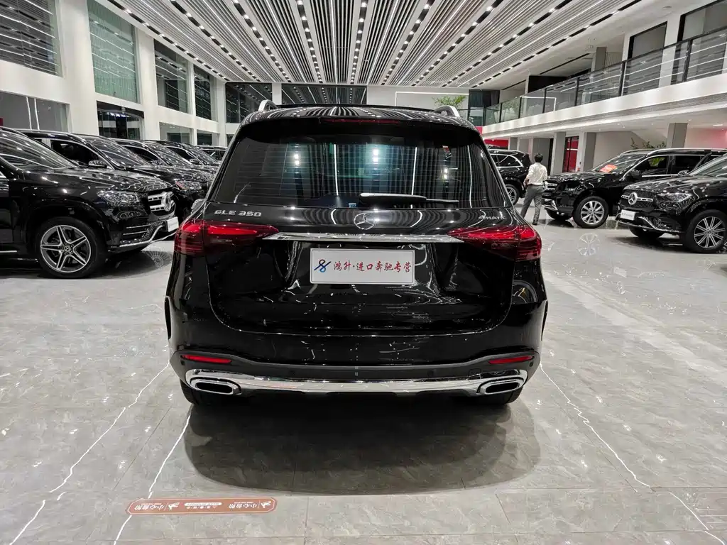 Mercedes-Benz GLE (Import) — фото 15
