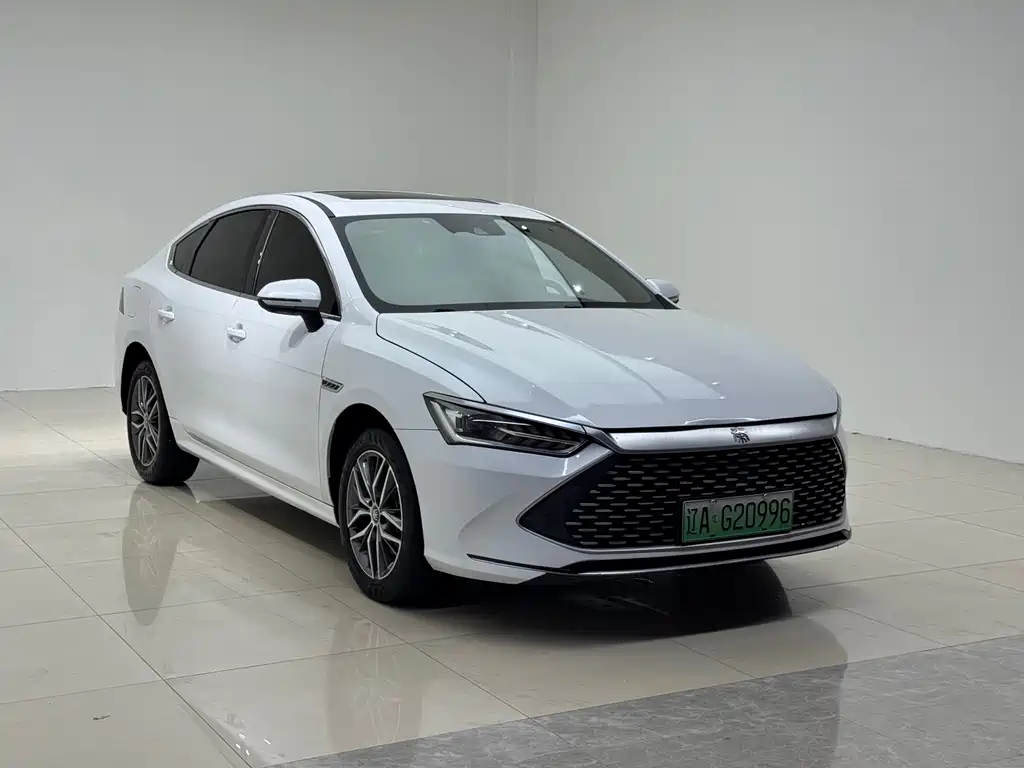BYD Qin PLUS — фото 3