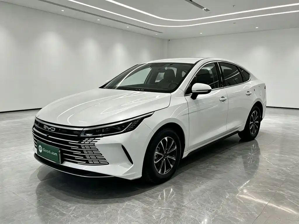 BYD Destroyer 05 — фото 2