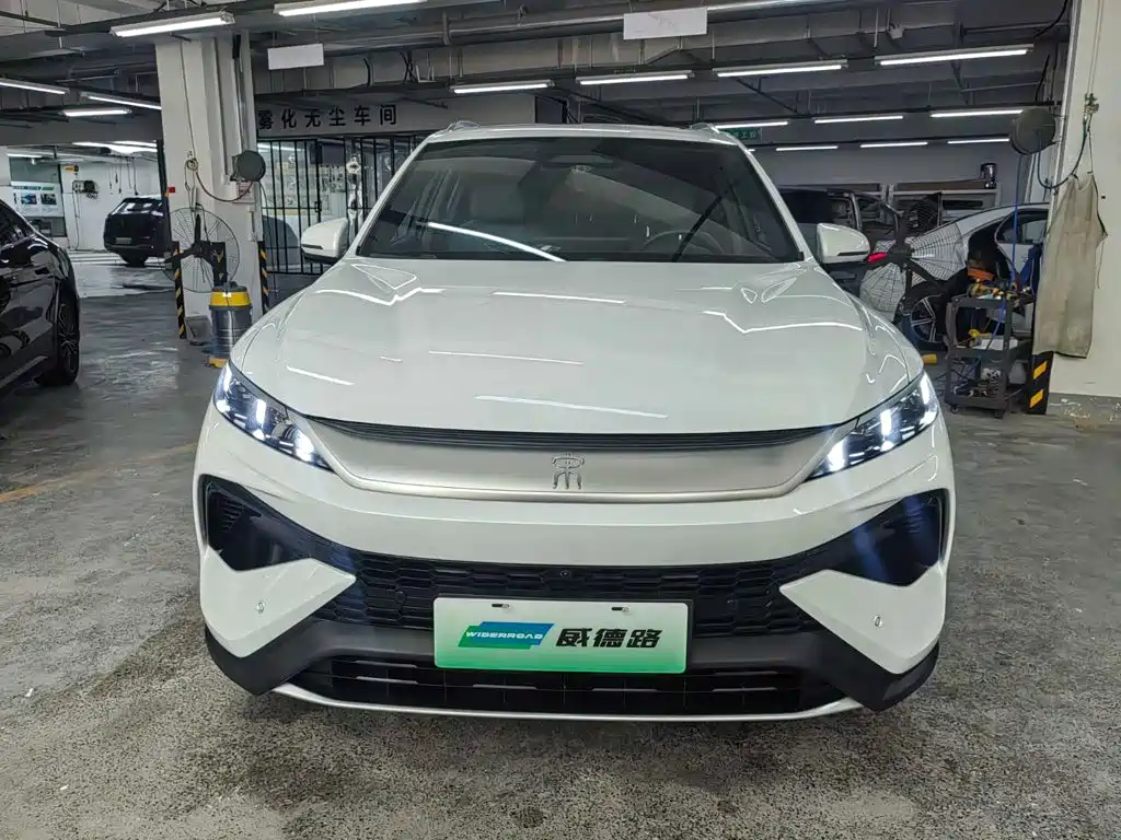 BYD Pro New Energy — фото 2
