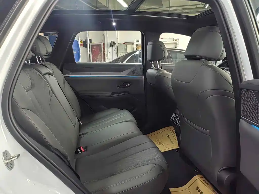 BYD Pro New Energy — фото 11