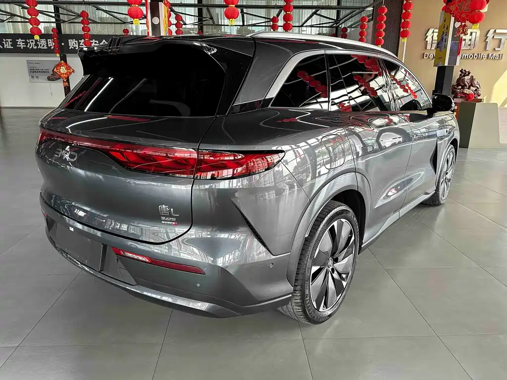 BYD Tang L — фото 8