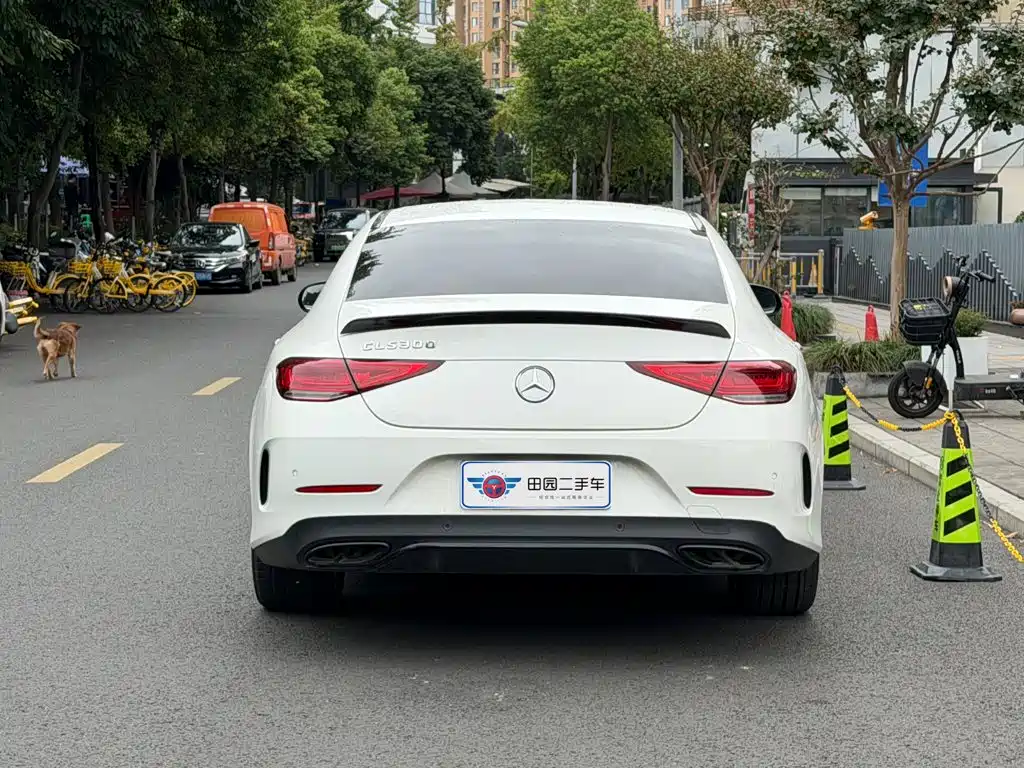 Mercedes-Benz CLS — фото 5