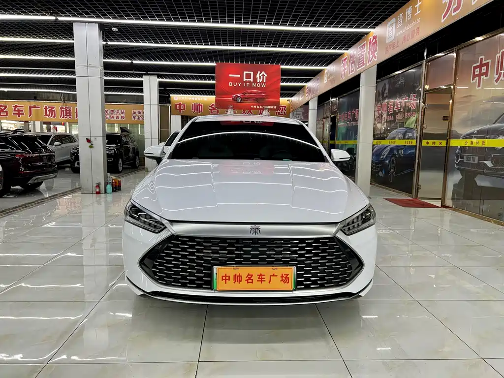 BYD Qin PLUS — фото 2