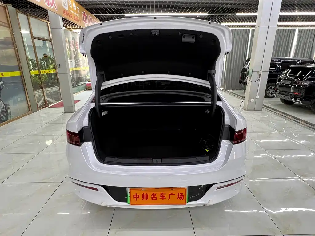 BYD Qin PLUS — фото 8