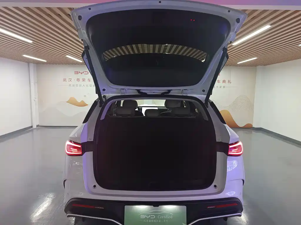 BYD Seal 06 DM-i Touring — фото 15