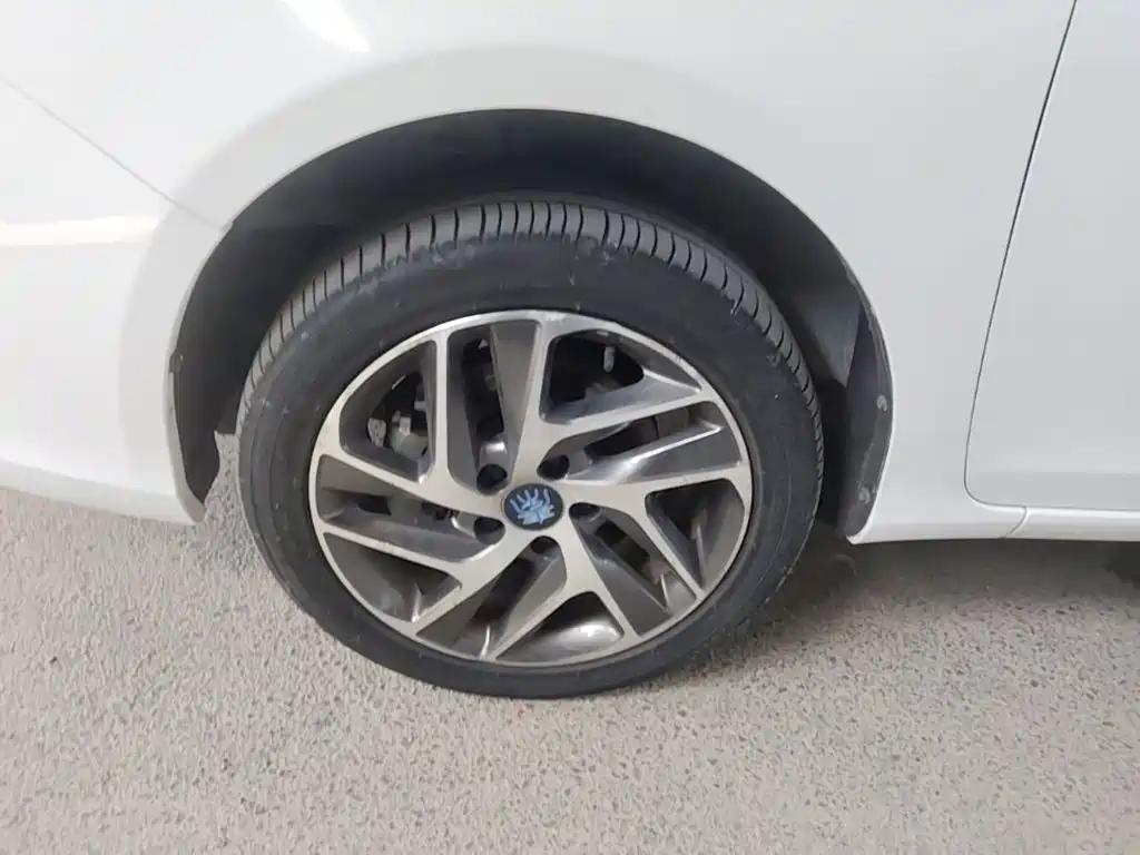 BYD Qin NEV — фото 23