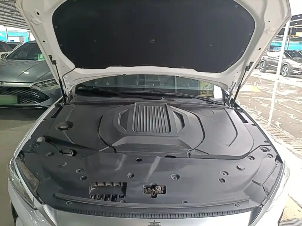 BYD Qin PLUS — фото 20