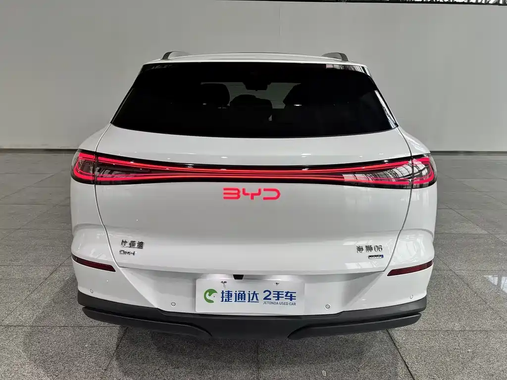 BYD Sealion 06 — фото 3
