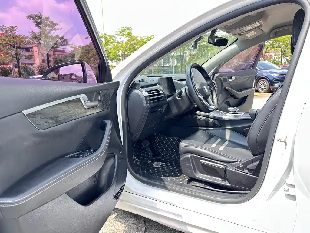 BYD Qin Pro NEV — фото 10