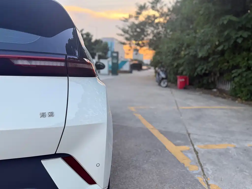 BYD Seagull — фото 19