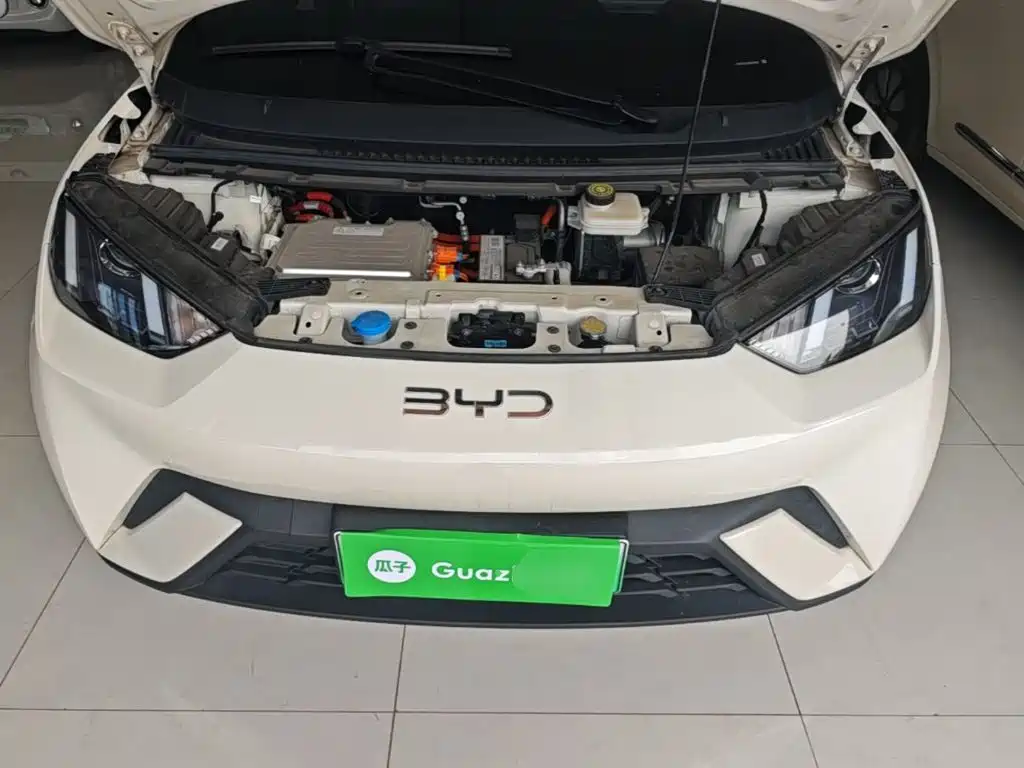 BYD Seagull — фото 20
