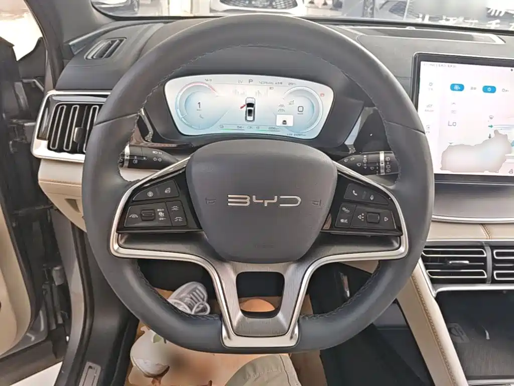 BYD PLUS New Energy — фото 11