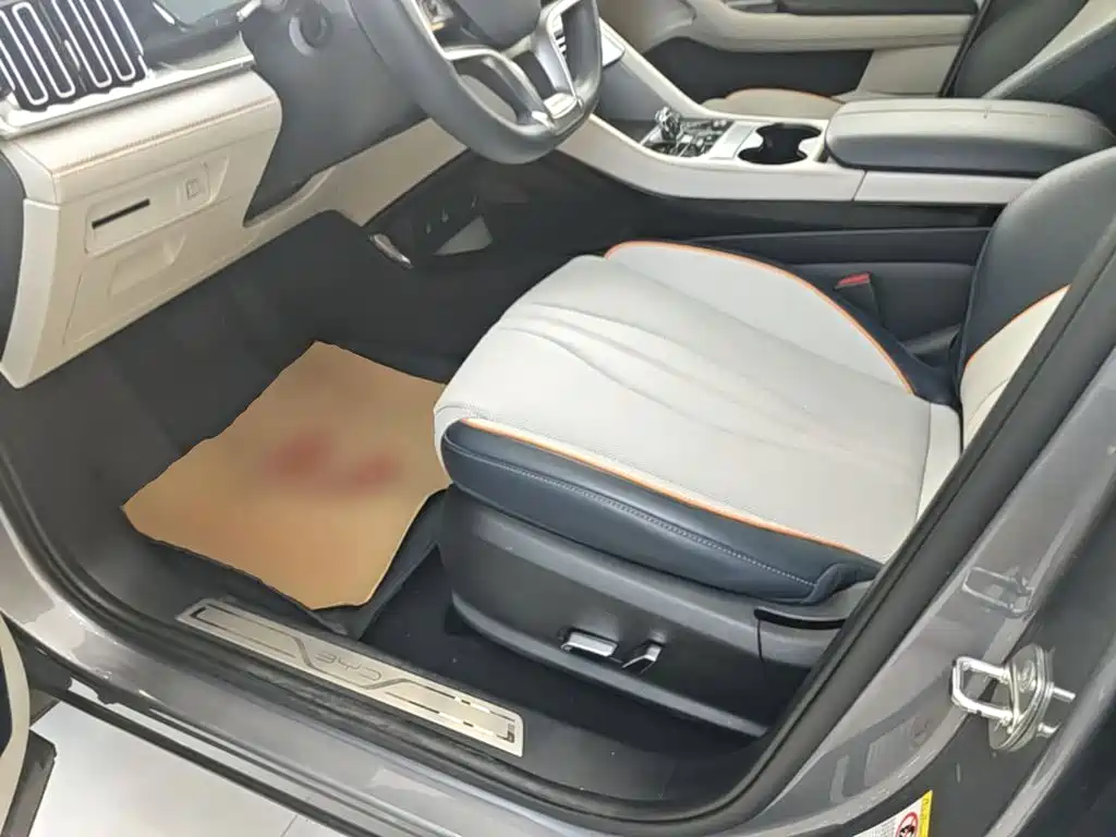 BYD PLUS New Energy — фото 15